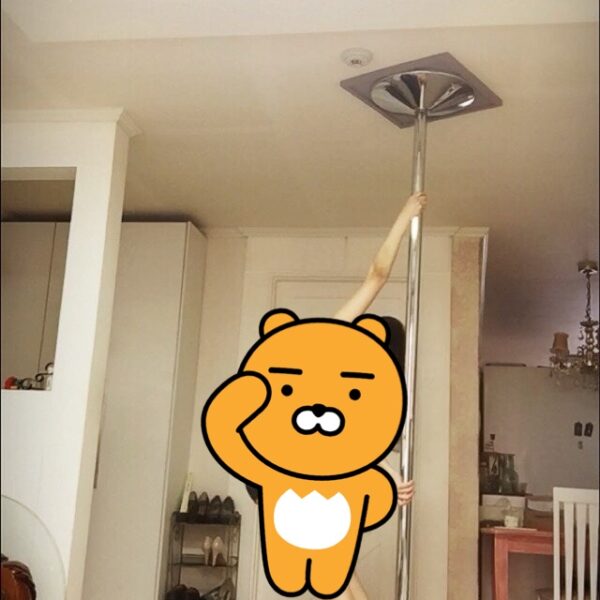 엑스폴